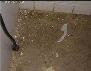 /UpLoadFiles/20140404/2014040411312976.jpg