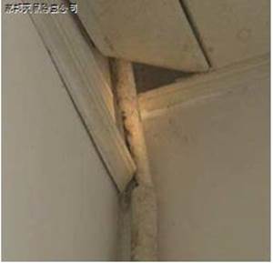 /UpLoadFiles/20140404/2014040411311676.jpg